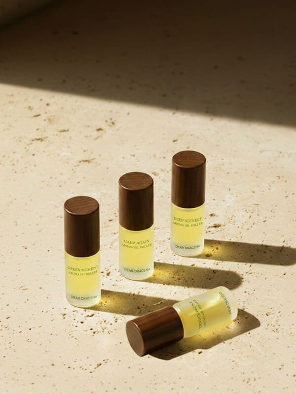 디어드라세나 호흡의 공간 팝업 더현대 서울 3가지 케어 체험으로 감각 리셋